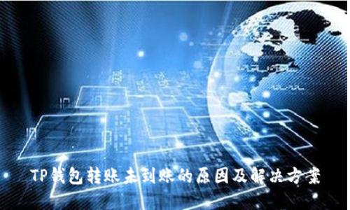 TP钱包转账未到账的原因及解决方案