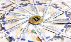 导入TP钱包资产丢失解决方案：操作详解与常见问