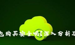 虚拟币钱包购买安全吗？深入分析及防范措施