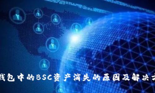 TP钱包中的BSC资产消失的原因及解决方法