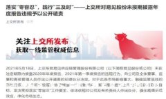Rado虚拟币：深入了解其技术背景与投资潜力