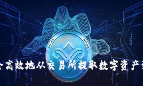如何安全高效地从交易所提取数字资产到TP钱包