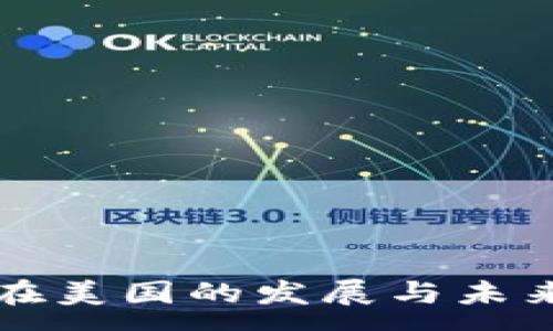 :
虚拟货币在美国的发展与未来趋势分析