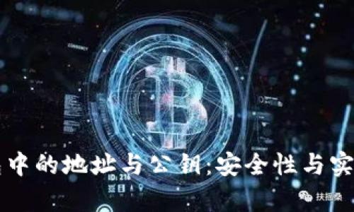 解析虚拟币钱包中的地址与公钥：安全性与实用性的深度研究