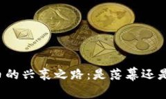 虚拟币的兴衰之路：是落