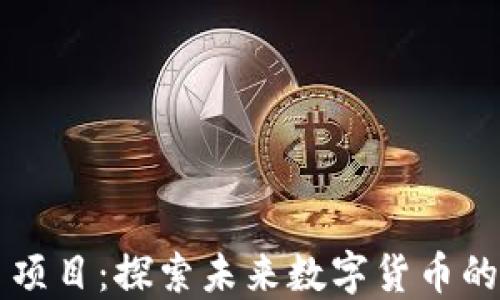 
内测虚拟币项目：探索未来数字货币的先机与挑战