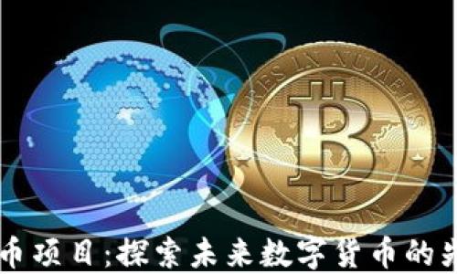 
内测虚拟币项目：探索未来数字货币的先机与挑战