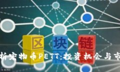 全面解析宠物币PETT：投资