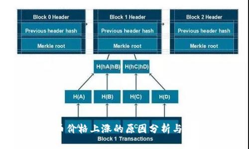 : 虚拟币价格上涨的原因分析与市场动态