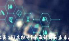什么是NFT虚拟币？全面解