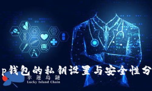t p钱包的私钥设置与安全性分析