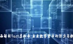 全面解析Tact虚拟币：未来
