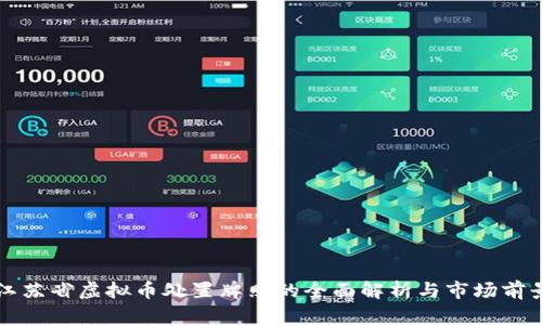 江苏省虚拟币处置牌照的全面解析与市场前景