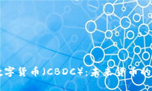 中央银行数字货币(CBDC):未来货币的演变与潜力