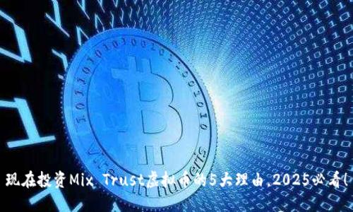 现在投资Mix Trust虚拟币的5大理由，2025必看！