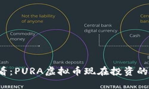 2025必看：PURA虚拟币现在投资的五大理由