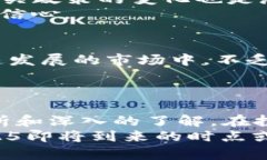   2025必看！森林之王虚拟