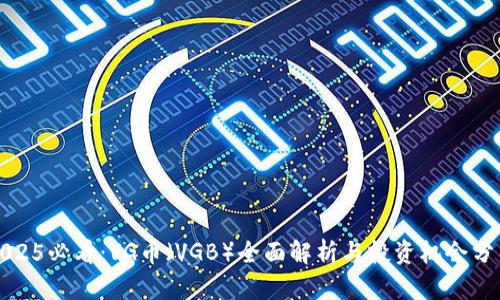 2025必看：VG币（VGB）全面解析与投资机会分析