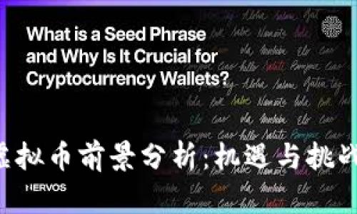 HSR虚拟币前景分析：机遇与挑战并存