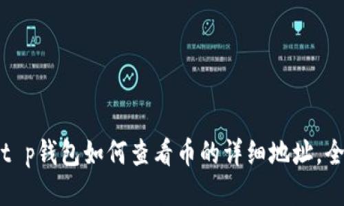 bietyot p钱包如何查看币的详细地址，全面指南
