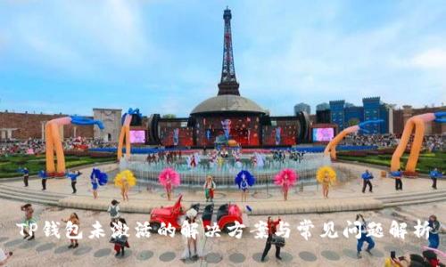 TP钱包未激活的解决方案与常见问题解析