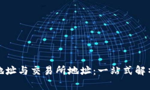TP钱包地址与交易所地址：一站式解析与比较